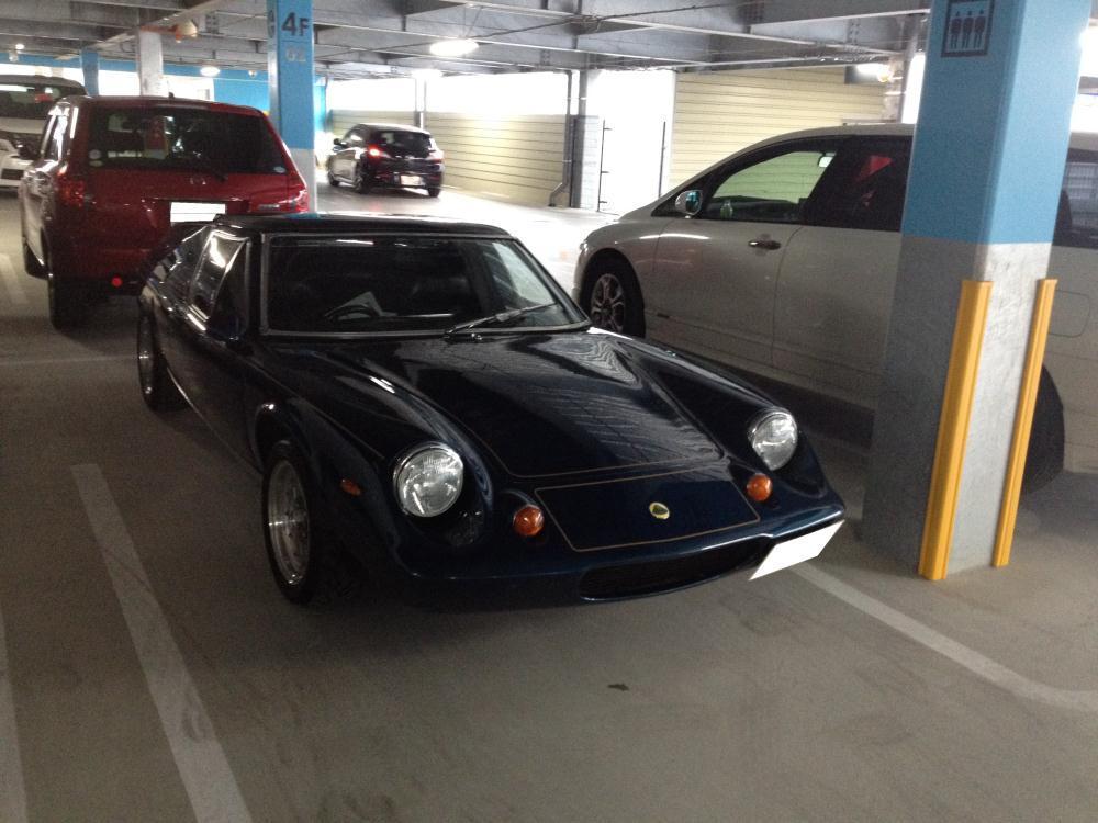 IMG_0307 - コピー.JPG